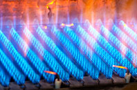 Mawson Green gas fired boilers